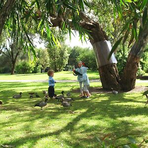 Kennett River Family Caravan Park Hotel Exterior photo