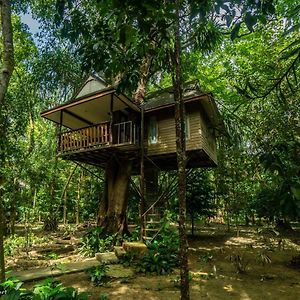 Baan Khaosok Resort Khao Sok National Park Exterior photo