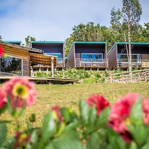 Huillin Lodge Chonchi Exterior photo