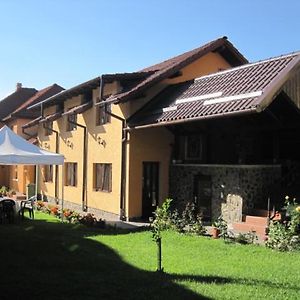 Pensiunea Folea Rasnov Hotel Exterior photo