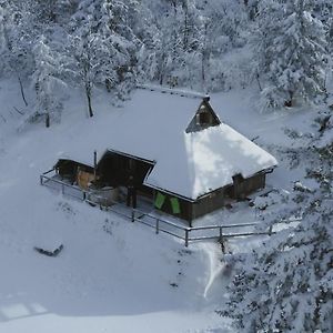 Chalet Pehta Velika Planina Villa Stahovica Exterior photo