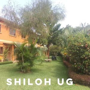 Shiloh Homes And Car Rental Kampala Exterior photo