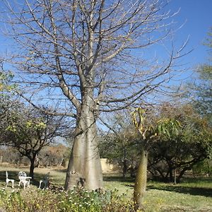 Mariepskop View Caravan Park Hotel Hoedspruit Exterior photo