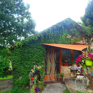 Mas De La Boheme - L'Hermet Bed & Breakfast Saint-Leons Exterior photo