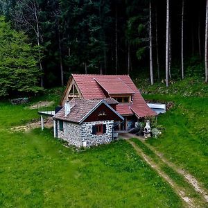 Gite Bodenmatt Villa Muhlbach-sur-Munster Exterior photo