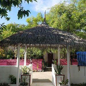 Alkina Lodge Đảo Đảo Fulidhoo Exterior photo