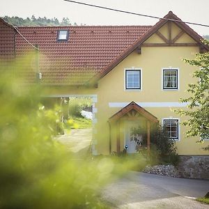 Gaestehaus Gnant Apartment Winten  Exterior photo