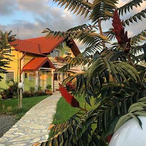 House Antonia Hotel Grabovac  Exterior photo