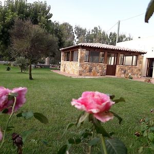 Agriturismo Quattro Mori Villa Porto Torres Exterior photo