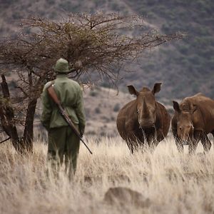 Elewana Lewa Safari Camp Hotel Meru Exterior photo