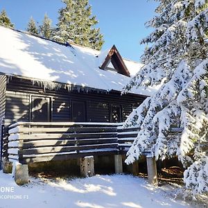 Tree Top Rogla Apartment Zrece Exterior photo