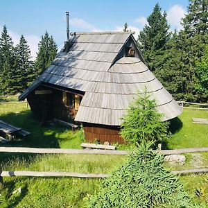 Chalet Gasparjeva Velika Planina Villa Kamnik Exterior photo