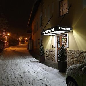 Ferdinand Penzion Hotel Moldava nad Bodvou Exterior photo