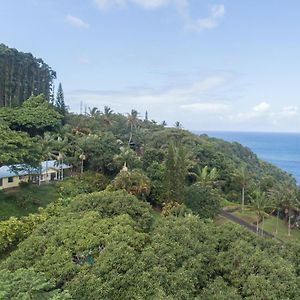 Hamakua Pukana La Hale Home Papaaloa  Exterior photo