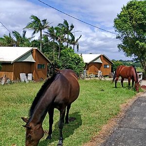 Byron Bay Farm Cottages Exterior photo