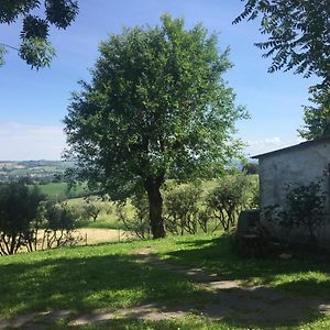 Bed & Breakfast Montsegur Bed & Breakfast Senigallia Exterior photo