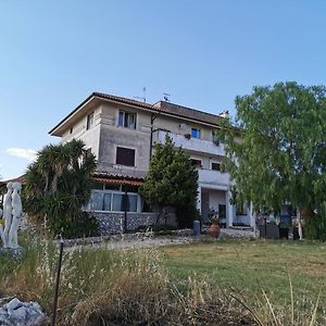 Villa Dei Romani - Country House Guidonia Montecelio Exterior photo